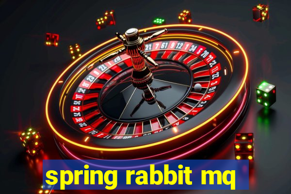 spring rabbit mq